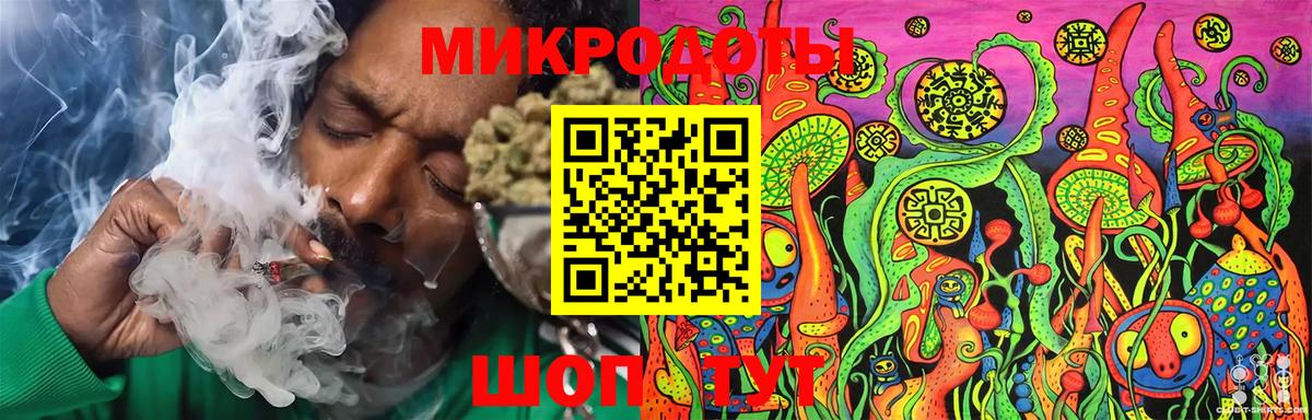 Галлюциногенные грибы Psilocybe Моздок