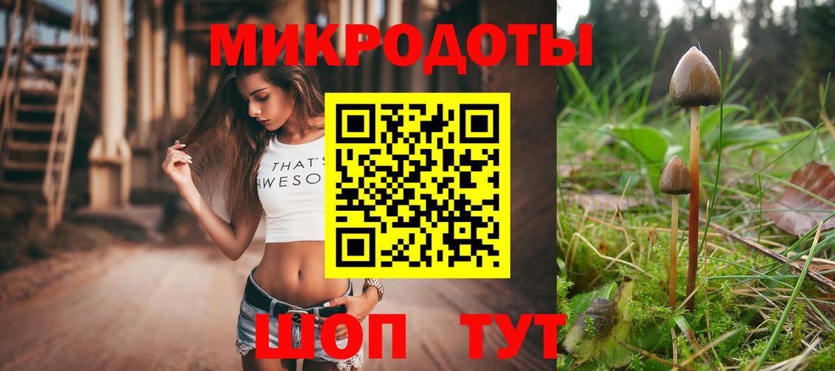 Галлюциногенные грибы Cubensis  Вход с VPN  Моздок  Галлюциногенные грибы мухоморы 